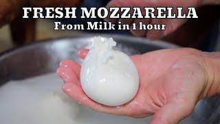 HOW TO MAKE FRESH MOZZARELLA REAL FROM SCRATCH  At Home Very Easy