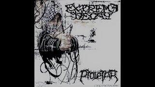 PROLETAR  EXTREME DECAY -full split- 2004