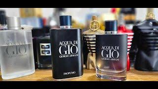 Armani ADG Profumo Vs Parfum Comparison