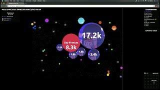 Agar.io - Multibox Takeover #19