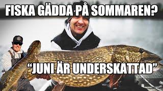 Fiska GÄDDA på SOMMAREN - David Lundqvist och Mikko Seppänen tipsar