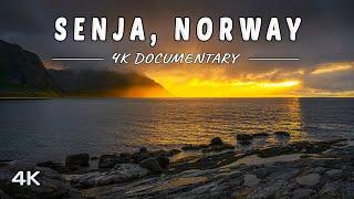 Senja Island Norway - 4K Unspoiled Beauty