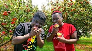 How This Kenyan Woman Became A Millionaire Growing Apples In Africa