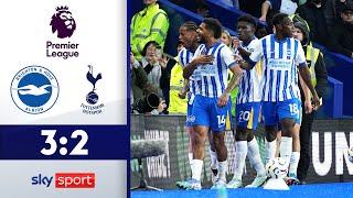 Minteh leitet Aufholjagd ein  Brighton & Hove Albion - Tottenham Hotspur  Highlights - PL 202425