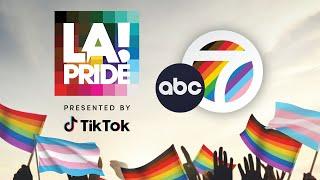 Love is love Thousands show up for LA Pride Parades big return l ABC7