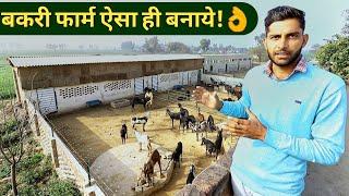 मॉडर्न बकरी फार्म ऐसे बनायेHow to MakeStart Goat Farm in hindiShed design India 9350146903