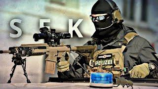 Germanys Elite Police Tactical Units The Spezialeinsatzkommando SEK