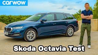 Skoda Octavia 2021 Test Das einzige Auto das du wirklich brauchst