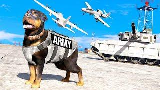 СОБАКА ЧОП ПОПАЛА В АРМИЮ - GTA 5 Военная Жизнь Моды ГТА 5