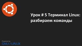 Видео урок 5 Терминал Linux изучаем команды терминала