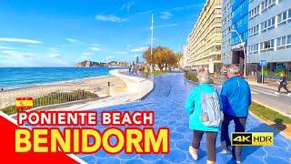 BENIDORM IN WINTER  Poniente Beach from Old Town