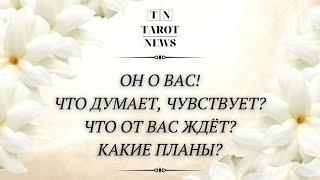 ОН О ВАС ЧТО ДУМАЕТ ЧУВСТВУЕТ СТРОИТ ЛИ ПЛАНЫ ЧТО ЖДЁТ ОТ ВАС?