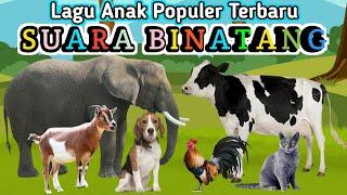 LAGU SUARA BINATANG Lagu anak-anak Original by PANDEKA kids  LAGU ANAK POPULER