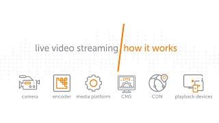 Live Video Streaming How It Works