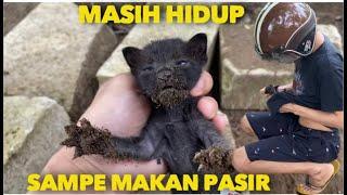 TERNYATA MASIH HIDUP MAKAN PASIR DAN DI GIGIT SEMUT