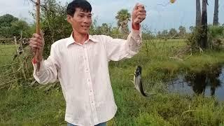 Man Catching Fish  Easy Fishing In The Village  How To Catch Fish In Well