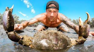 Exploring For Giant Crabs In Tide Pools