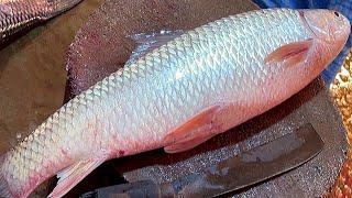 All Fish Cutting Skill  Mrigal Rohu Katla & Hilsa Fish Cutting By Expert Fish Cutter