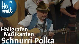 Hallgrafen Musikanten Schnurri Polka  Wirtshausmusikanten  BR Heimat - die beste Volksmusik