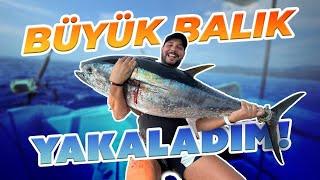 Seferihisar Orkinos Avı I Big Fishing