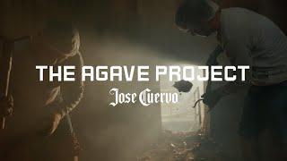 Jose Cuervo Agave Straw Process