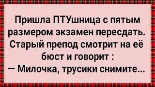 Как ПТУшница с Пятым Размером Экзамен Пересдала Сборник Свежих Анекдотов Юмор