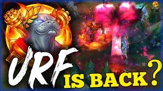 URF is BACK PBE LOL FUN Moments 2024 Smolder Pentakill Briar Morgana Zed #203