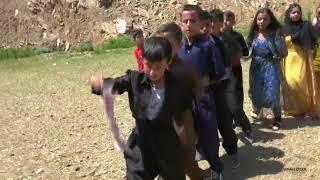 Halay basında ki çocuk efsane oynuyor  2022 Kurdish dance #kurdish  #sofiömer #kürtçemüzik