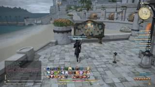 Final Fantasy XIV - Random Vid