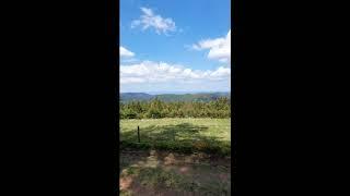 Blick vom Rohrhardsberg im Schwarzwald