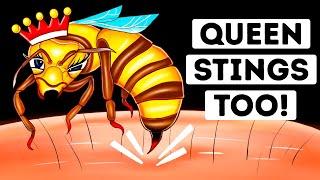 Are Queen Bee Stings More Dangerous? We Found Out