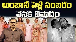 Ananth Ambani Wedding Behind Story   Mukesh Ambani  Signal Tv 