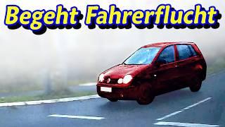 Unfall mit Fahrerflucht Mutter des Jahres und Blitzeinschlag  DDG Dashcam Germany  #605