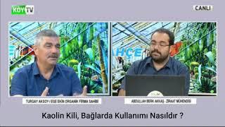 Kaolin Kili Bağlarda Kullanımı Nasıldır ?