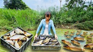 The girl used a simple fruit basket to make a fish trap and her harvest was so unexpected