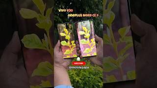 Camera Compare Vivo V30 vs OnePlus Nord CE 4  #shorts #vivov30 #oneplusnordce4