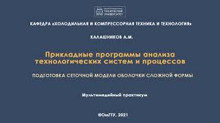 Лабораторная работа 4. Подготовка сеточной модели оболочки сложной формы