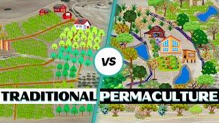 Traditional Farm Design vs. Permaculture Design Whats the Difference?