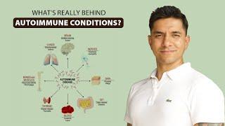 Identifying & Understanding Autoimmune Conditions For Better Health