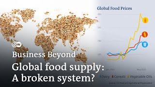 A world going hungry? How conflict and climate change disrupt global food supply  Business Beyond