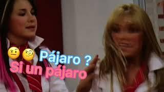 El Pajaro de Lola  #rbd #rebelde #miacolucci #miguelarango #roberta