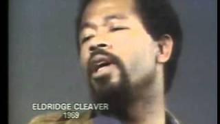 Black Liberation Theory Eldridge Cleaver on the Definition of PIGS