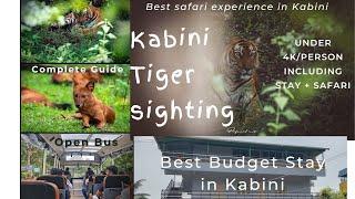 Tiger sighting Budget-friendly stay + open bus safari at KABINI How to book Safari + stay @ kabini