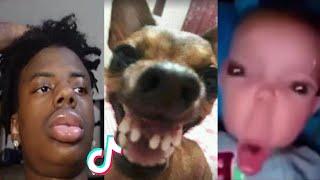 THE FUNNIEST TIK TOK MEMES Of August 2023  Try Not To LAUGH   #15