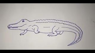 How to Draw Crocodile Drawing Video Easy  Crocodile Drawing  beautiful  #drawing  Sandhya vlog