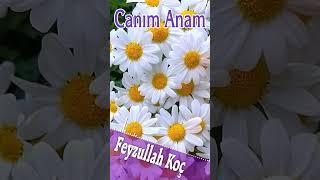 Canım Anam - Feyzullah Koç