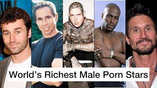Worlds Richest Male Porn Stars