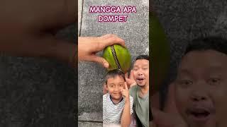 MANGGA DOMPET BIKIN BINGUNG? #fruit #shortsfeed #funny #shorts