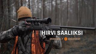 Hirvimetsällä 2019  Moose Hunting  Dragonfly Erävideot