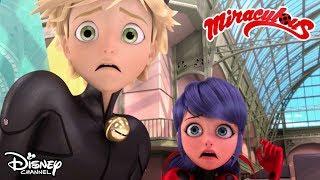 Song and Dance   Miraculous Ladybug  Official Disney Channel Africa